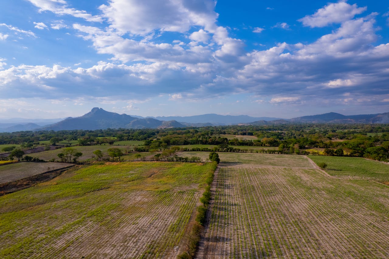 Scenic aerial view of sprawling agricultural fields with mountains in El Salvador under a vibrant sky.