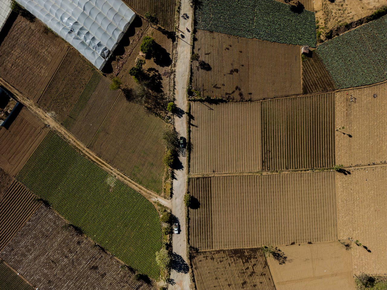 Drone shot capturing the vibrant patchwork farmlands in Tecpán, Guatemala.