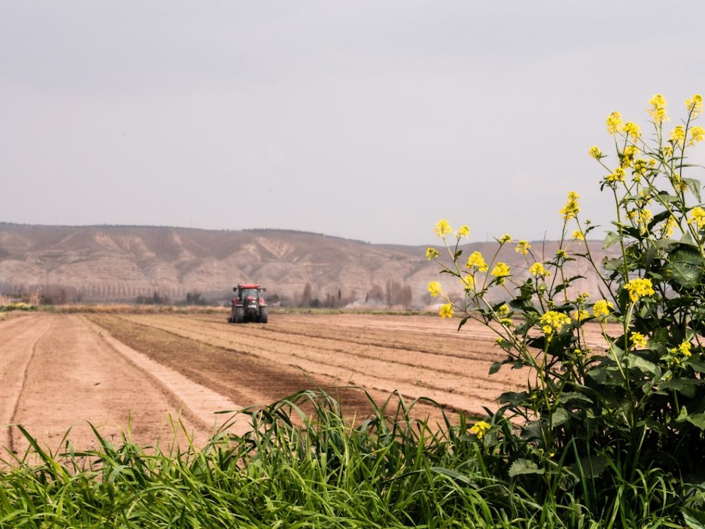 Tractor working the land